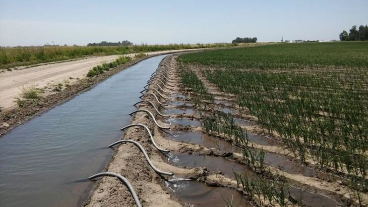 La Justicia confirmó la existencia de facturas falsas y una operación destinada a quedarse con dinero público. El exgerente administrativo está bajo la lupa. La Justicia confirmó la existencia de facturas falsas y una operación destinada a quedarse con dinero público. El exgerente administrativo está bajo la lupa.