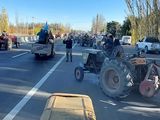 En otros años, los productores del Valle salieron a las rutas a protestar por la falta de rentabilidad.