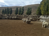 Una localidad con perfil productivo-turístico. Foto: gentileza