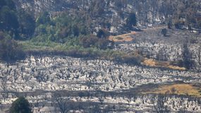 Así quedaon hectáreas arrasadas por el fuego en el Valle de Magdalena.