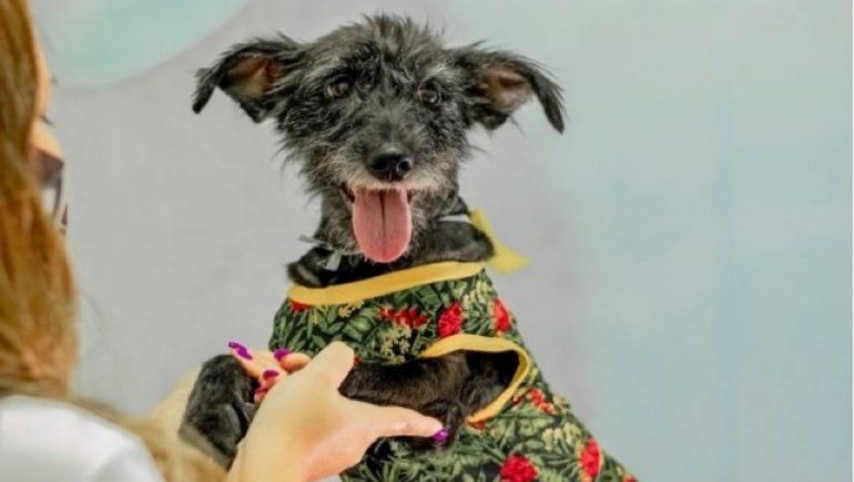 Foto: Samantha Figueiredo.