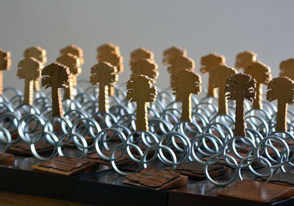 Distinguen mañana con los Premios Pehuén a los mejores deportistas del año