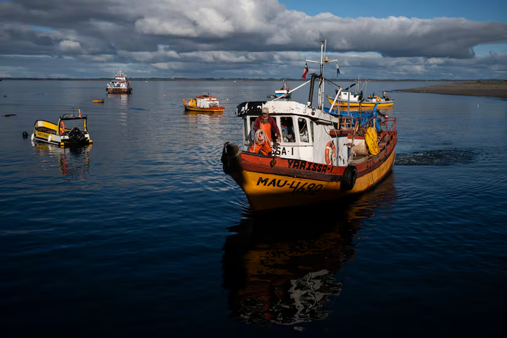 Seis trabajadores murieron en el Estuario de Reloncaví en enero de 2026 por fallas de seguridad. Seis trabajadores murieron en el Estuario de Reloncaví en enero de 2026 por fallas de seguridad.