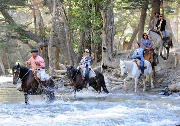 El resurgir de entre las cenizas
