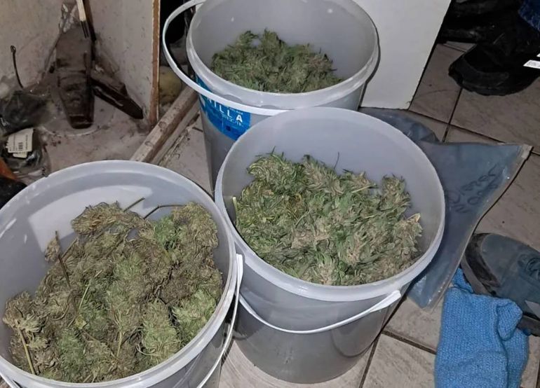 Una denuncia anónima por fuertes olores derivó en el secuestro de cinco kilos de marihuana