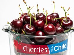 las cerezas que no brillaron: chile enfrenta una crisis estructural tras campana record