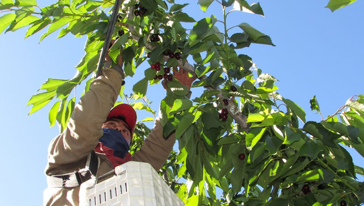 Preparan una muestra sobre la matriz productiva provincial