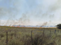 Fuertes incendios rurales afectan varias zonas de La Pampa Fuertes incendios rurales afectan varias zonas de La Pampa