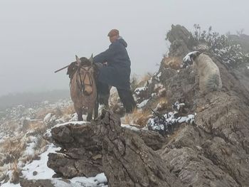 El conflicto entre la fauna silvestre y la producción rural vuelve a generar tensión en el norte de Neuquén. El conflicto entre la fauna silvestre y la producción rural vuelve a generar tensión en el norte de Neuquén.