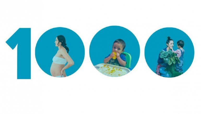 Plan de los 1000 Días.