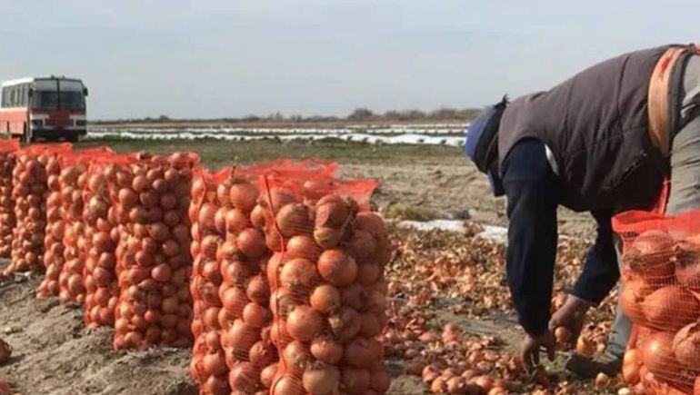 El chacarero asegura que intentó disuadir al joven que le robaba la cosecha. Foto ilustrativa.
