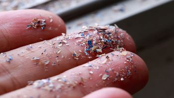 plasticos(1).jpg
