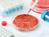 Primer rechazo a la elaboración de carne cultivada en la UE.