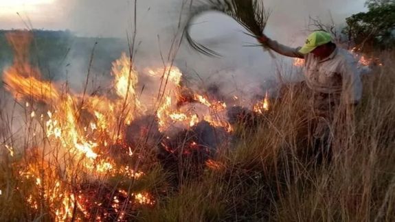 Investigan los incendios intencionales en Villa Traful / Foto Gentileza Agencia Tierra Viva