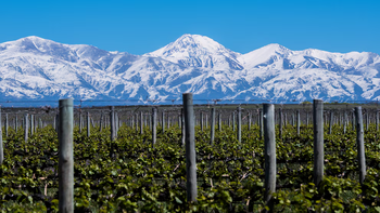 El vino argentino obtiene el mayor número de reconocimientos entre las 50 mejores bodegas del mundo. | LM Neuquen El vino argentino obtiene el mayor número de reconocimientos entre las 50 mejores bodegas del mundo.