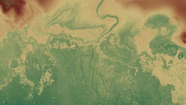 Descubrieron una red de canales y cultivos mayas bajo una selva