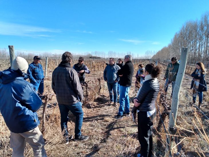 Vecinos de San Patricio y productores recorrieron la bodega Secreto Patagónico. Foto: Centro Pyme ADENEU. Vecinos de San Patricio y productores recorrieron la bodega Secreto Patagónico. Foto: Centro Pyme ADENEU.