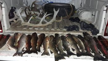 Siguen los secuestros por caza y pesca furtiva en Neuquén Siguen los secuestros por caza y pesca furtiva en Neuquén