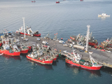 Puerto Madryn 20/11: nació el frente unido contra la pesca ilegal en Argentina.