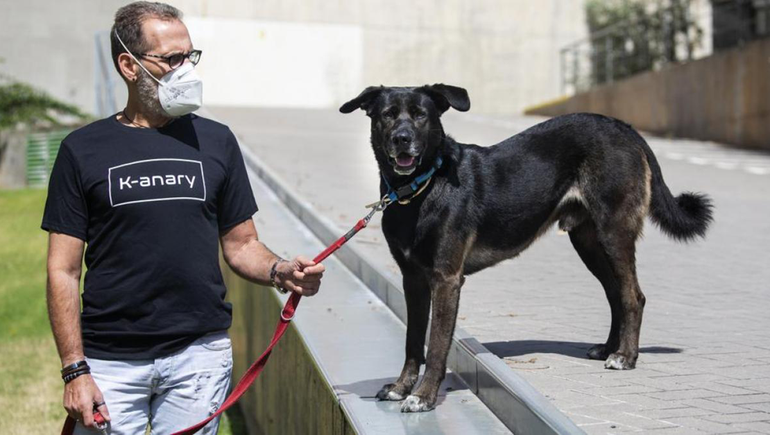 Cómo ayudan los perros a sus dueños durante la pandemia