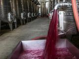 Importación de vino granel desde Chile