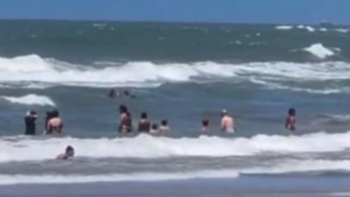 el dramatico rescate de tres nenes que se estaban ahogando en mar del plata el dramatico rescate de tres nenes que se estaban ahogando en mar del plata