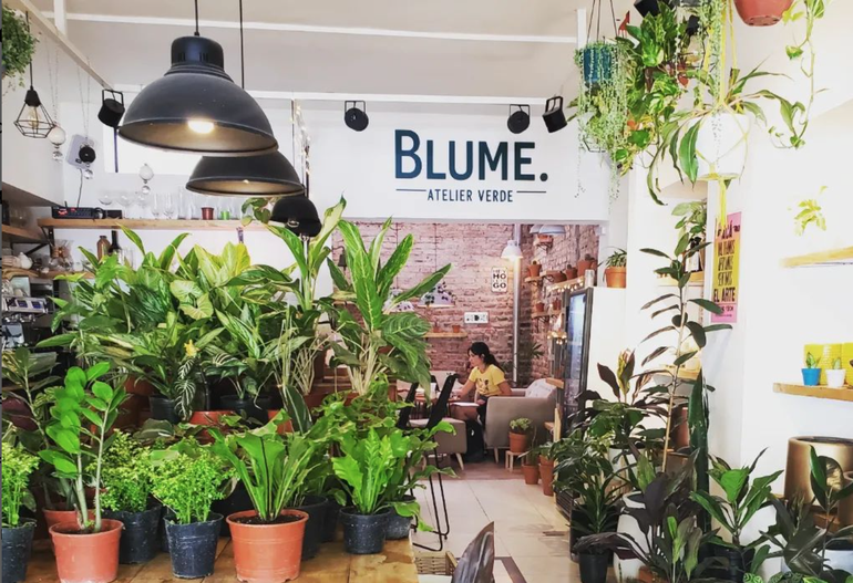 Blume: Café y plantas en el centro neuquino