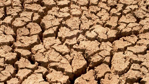 Zodíaco: conocé todo sobre los signos de tierra