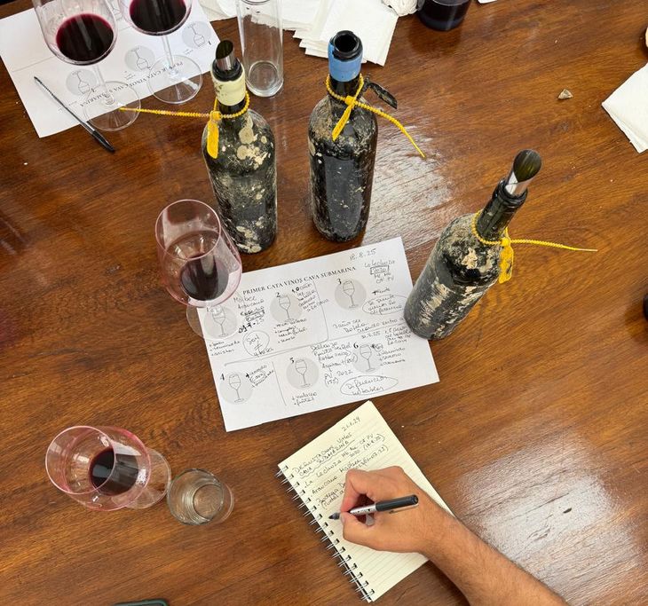 Expertos de las principales bodegas rionegrinas compararon el vino submarino con botellas Expertos de las principales bodegas rionegrinas compararon el vino submarino con botellas