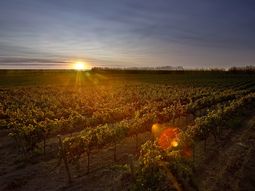 Bodega Familia Schroeder. Bodega Familia Schroeder.