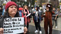 Más confusión en el caso Perejil: los padres de la nena que murió fueron a una marcha por el perro preso.