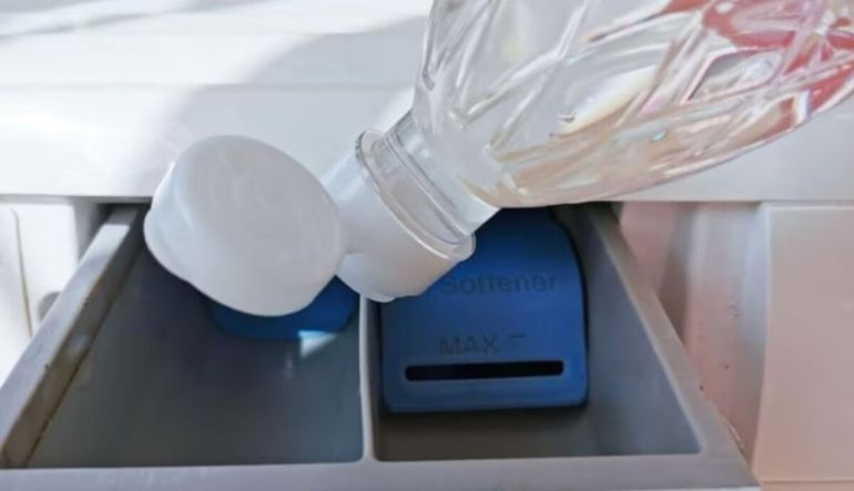 El procedimiento es simple y no requiere experiencia previa.