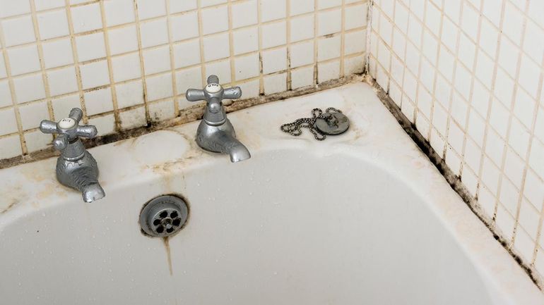 El color negro entre los azulejos del baño marca la presencia de moho. El color negro entre los azulejos del baño marca la presencia de moho.