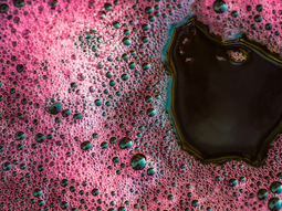 Alertan sobre nuevas dinámicas de consumo. Alertan sobre nuevas dinámicas de consumo.