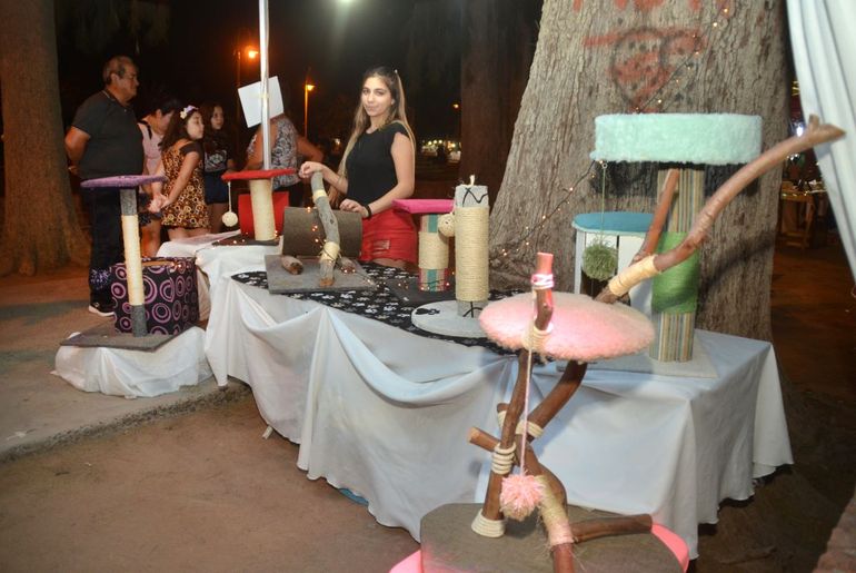 Con las camas para gatos de Abigail, chau a los sillones rotos