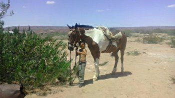 Santo, el caballo de Daniel, fue hallado muerto en una trampera en Sierra Barrosa. Hay conflicto de tierras.