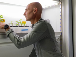 Este es un inicio para optimizar la selección de materiales de cultivo, dijo Lijavetzky. Este es un inicio para optimizar la selección de materiales de cultivo, dijo Lijavetzky.