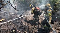 El incendio del Valle Magdalena contó con la participación de más de 1000 bomberos.