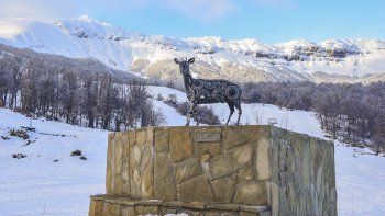 chapelco ski resort refuerza su compromiso con el ambiente de la mano de temaiken