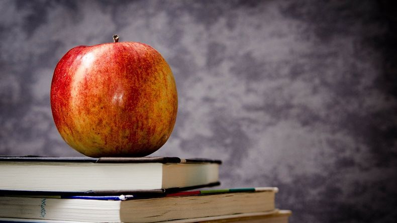 ¿Cuál es el destino exportador de la manzana del Valle de Río Negro y Neuquén? | LM Neuquen ¿Cuál es el destino exportador de la manzana del Valle de Río Negro y Neuquén?