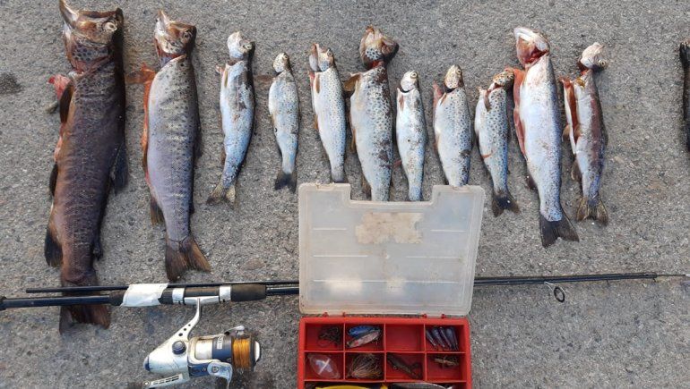 Pesca ilegal: decomisaron 24 truchas en un control de Junín
