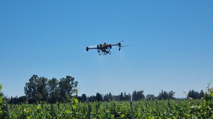 El operativo fue financiado íntegramente con recursos provinciales. Foto: Prensa gobierno de Mendoza El operativo fue financiado íntegramente con recursos provinciales. Foto: Prensa gobierno de Mendoza