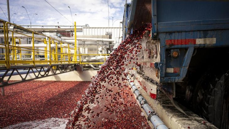 La tecnología es clave para el desarrollo del producto. La tecnología es clave para el desarrollo del producto.