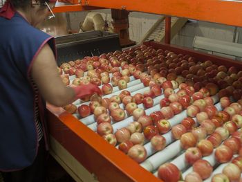 Muchas son las PYMES de la regiónd ela Patagonia que podrían verse perjudicadas con esta iniciativa.