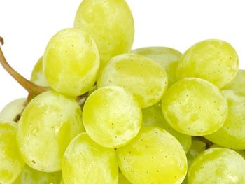 chile vuelve a ser lider en la exportacion de uva de mesa