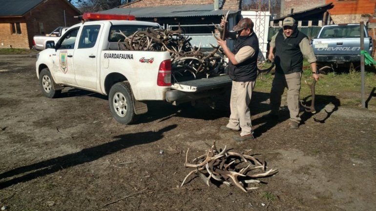 El cargamento tiene un precio muy valioso en el mercado.