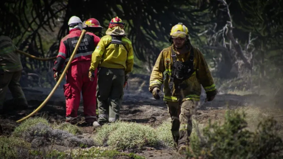 Incendios: Luciana Ortiz Luna habló de infiltrados y generó polémica en una comunidad mapuche