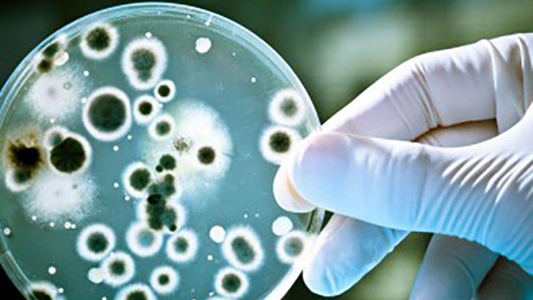 Crecieron las infecciones de transmisión sexual