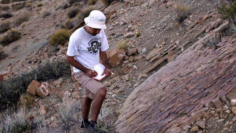 Descubrieron huellas de patinadas de dinosaurios de 130 millones de años en Neuquén