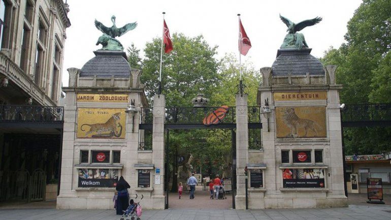 Zoo en Bélgica recauda 12 mil euros con Pokémon Go